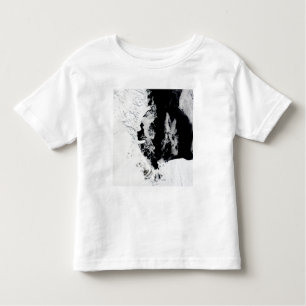 January 18, 2010 - Ross Sea, Antarctica Toddler T-shirt