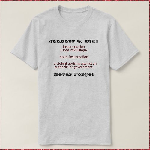 January 6 Insurrection T_Shirt