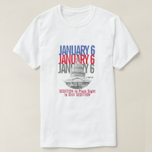January 6 (Sedition Edition) - A MisterP T-Shirt