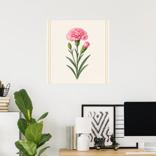 January Birth Flower, Carnation Botanical Poster