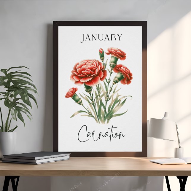 January Birth Month Carnation Poster (Creator Uploaded)