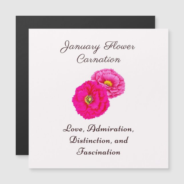 January Birth Month Flower Carnation Elegant Flora (Front/Back)