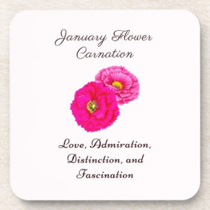 January Birth Month Flower Carnation Elegant Flora Beverage Coaster