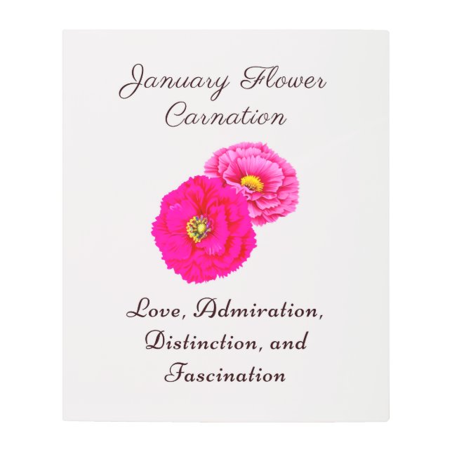 January Birth Month Flower Carnation Elegant Flora Metal Print (Front)