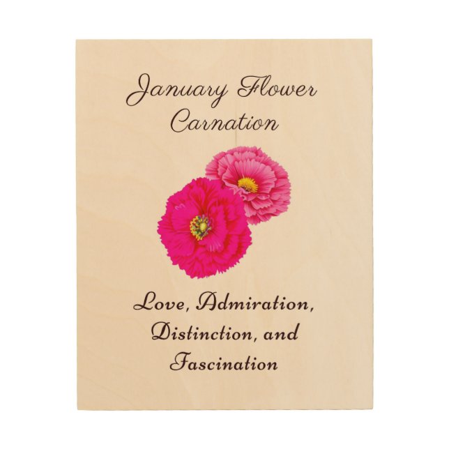 January Birth Month Flower Carnation Elegant Flora Wood Wall Art (Front)