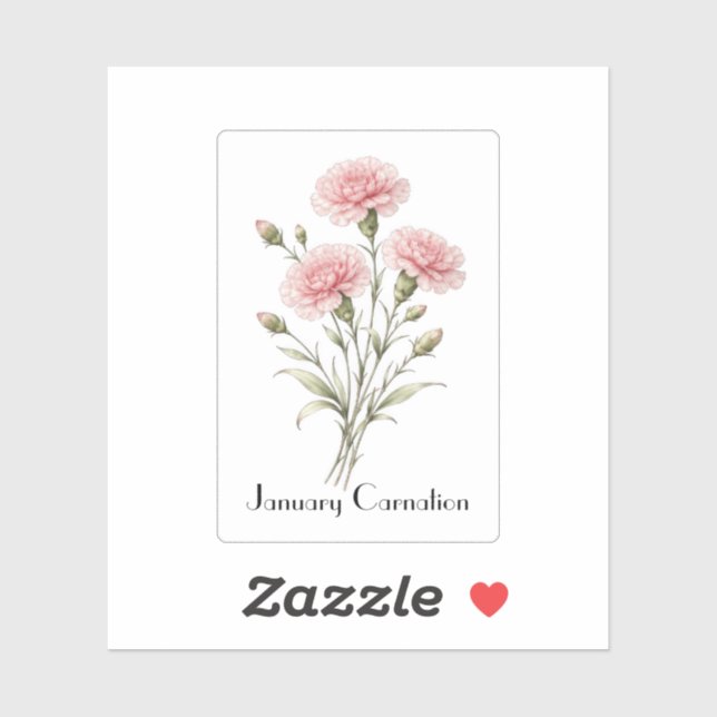 January Carnation Flowers  Sticker (Sheet)