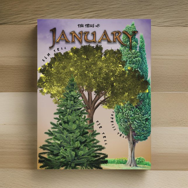 January Month Trees Elm Fir Cypress Postcard (Creator Uploaded)