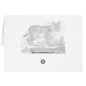 January Susitna Cards (Back Horizontal)