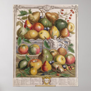 January, 'Twelve Months of Fruits' Poster