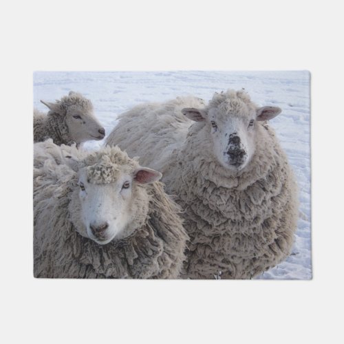 January Two Sheep Faces Doormat