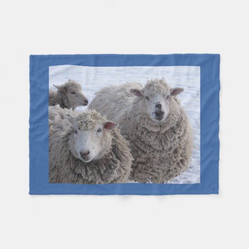 January Two Sheep Faces Fleece Blanket