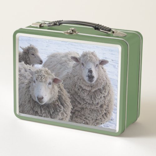 January Two Sheep Faces Metal Lunch Box