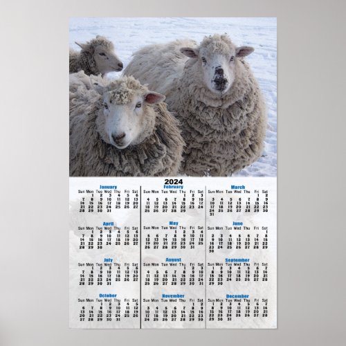 January Two Sheep Faces Poster