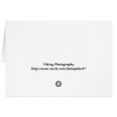 January View (Back Horizontal)