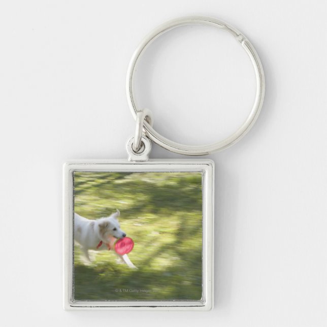 Japan 2 keychain (Front)