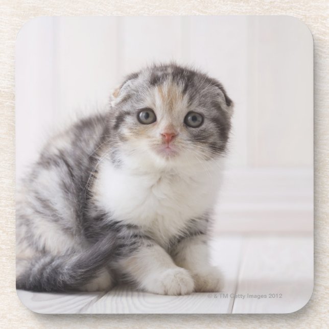 Japan 5 drink coaster (Front)