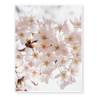 Japan Cherry Blossom Temporary Tattoos