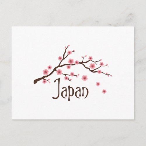 Japan Cherry Blossoms Postcard