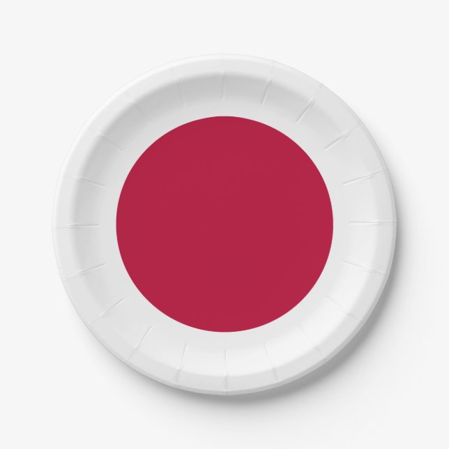 Japan (Japanese) Flag Paper Plates (Front)