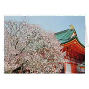 Japan, Kyoto. Cherry blossom of Shinto