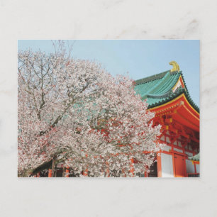 Japan, Kyoto. Cherry blossom of Shinto Postcard