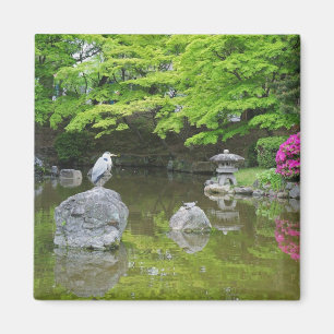 Japan, Kyoto. Heron in fresh green leaves Magnet
