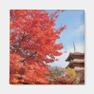 Japan, Kyoto. Kiyomizu temple in Autumn color Magnet