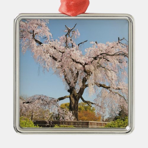 Japan Kyoto Weeping cherry tree under blue sky Metal Ornament