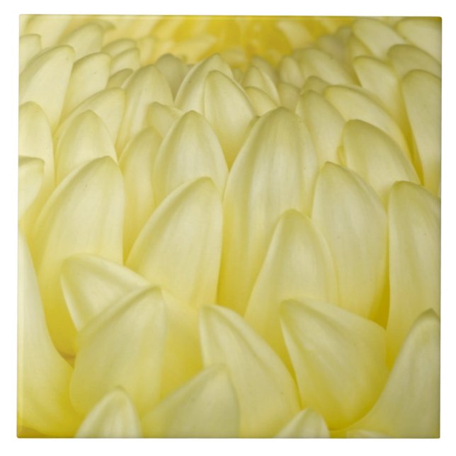Japan, Mie, Ise Shrine, Chrysanthemum Tile (Front)