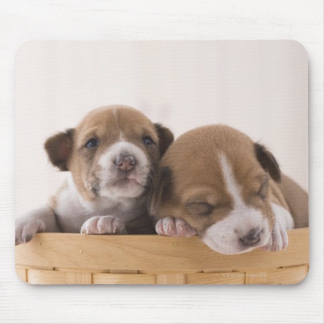 Japan Mouse Pad (Front)