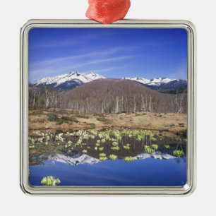 Japan, Nagano, Norikura, Mt. Norikura & Metal Ornament