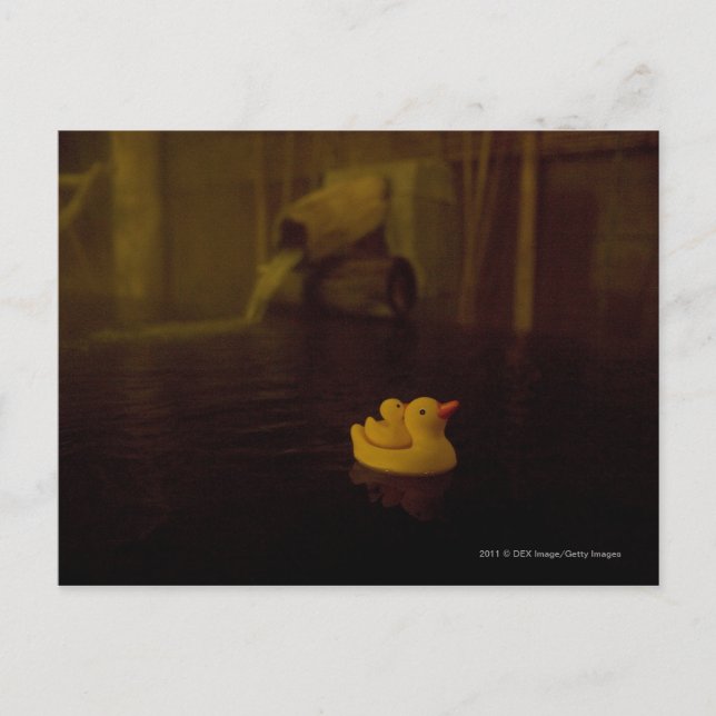 Japan Postcard (Front)