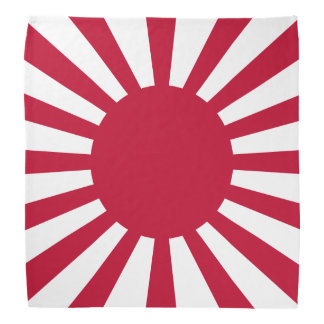 Karate Kid bandana , how do you remember it ? : r/Retconned