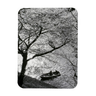 Japan, Tokyo. Cherry blossoms in the Imperial Magnet