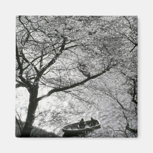 Japan, Tokyo. Cherry blossoms in the Imperial Magnet