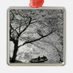 Japan, Tokyo. Cherry blossoms in the Imperial Metal Ornament