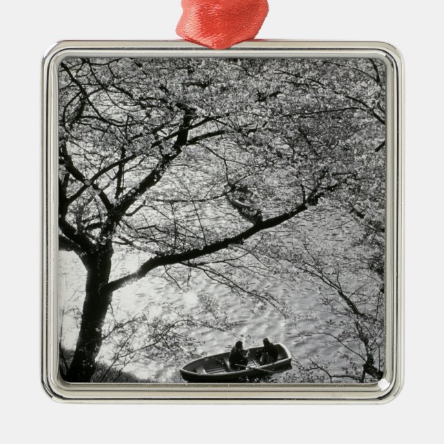 Japan, Tokyo. Cherry blossoms in the Imperial Metal Ornament (Front)
