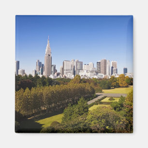 Japan. Tokyo. Shinjuku District Skyline and Magnet