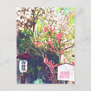 Japan travel landscape lantern sakura postcard