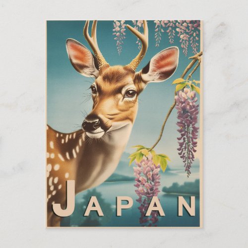 Japan _ Vintage  Postcard