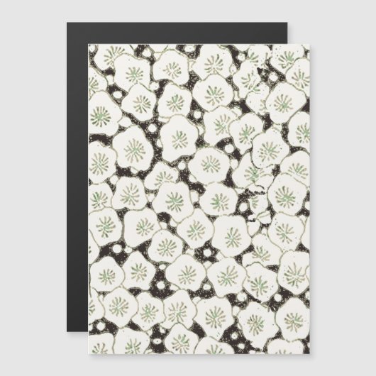 Japan White Flower floral garden (Front/Back)