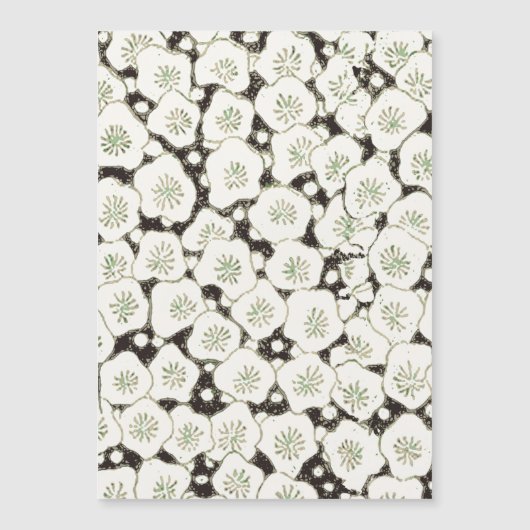 Japan White Flower floral garden (Front)