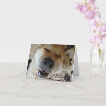 Japanese Akita Dog With Cute Smile Thinking Of You Card by artoriginals at Zazzle