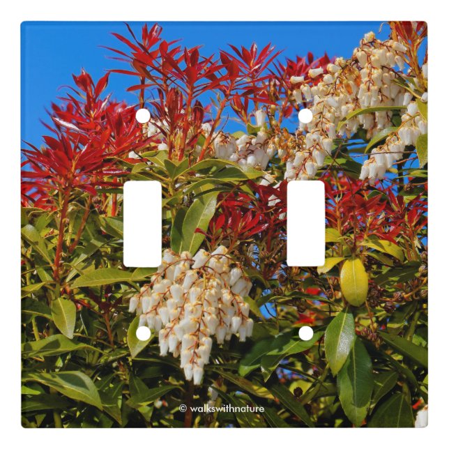 Japanese Andromeda Bonfire Light Switch Cover (Front)