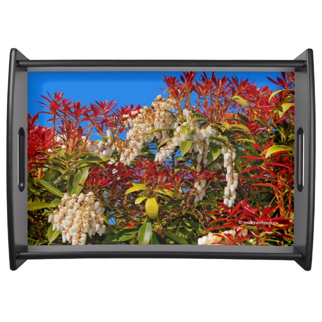 Japanese Andromeda Bonfire Serving Tray (Front)