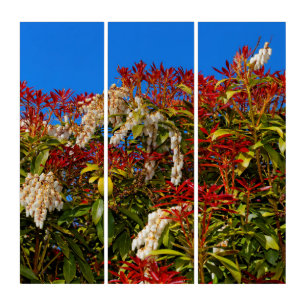 Japanese Andromeda Bonfire Triptych