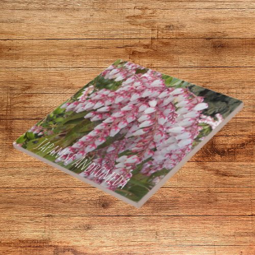 Japanese Andromeda Plant Floral Ceramic Tile