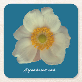 Japanese anemones flower square paper coaster
