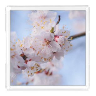 Japanese Apricot Blossom Acrylic Tray