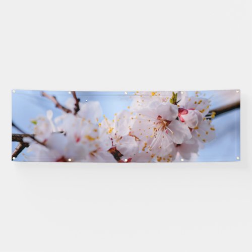 Japanese Apricot Blossom Banner